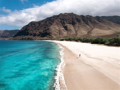 The Best Beaches for Snorkeling in Oahu - Hawaii Travel Guide