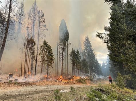 Support Staff Essential As Bc Battles Most Destructive Wildfire Season Vancouver Sun