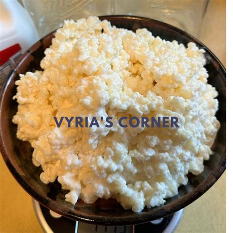 nam sua kefir sua de goat milk kefir nam sua de  huong  nuoi chi