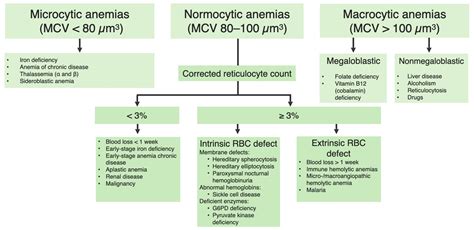 Anemia Causes Chart