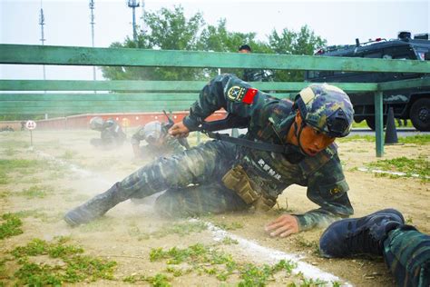 利刃出鞘！直擊特戰隊員單兵綜合演練現場 新華網