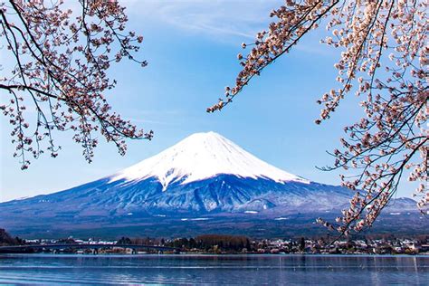 Mt. Fuji, Mt Fuji Panoramic Ropeway & Seasonal Fruits Picking 2023 - Yamanashi Prefecture