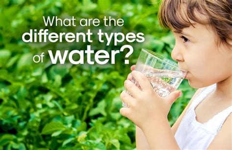 What Are The Different Types of Water? | Alivewater Blog