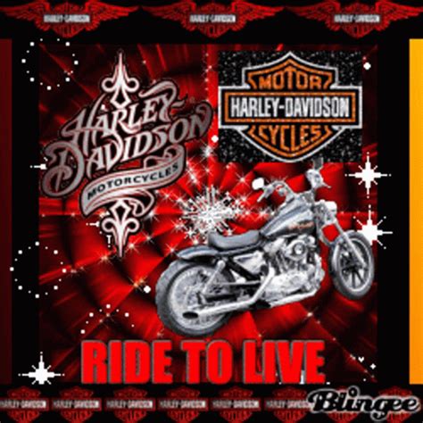 Harley Davidson Harley Davidson Motorcycles Harley Davidson