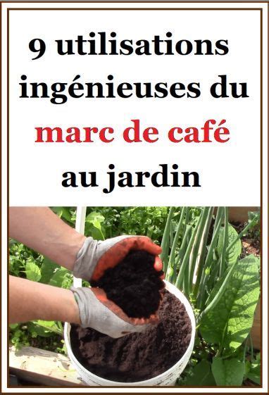 Jardinage Utilisations Ing Nieuses Du Marc De Caf Au Jardin Marc