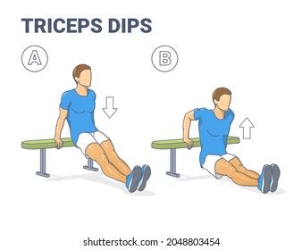 Man Doing Bench Triceps Dips Home Stock Vector Royalty Free