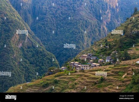 Village Community in the Hills of HImalayas Nepal Darchula Stock Photo ...