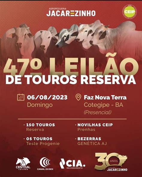 Leil O De Touros Reserva Agropecu Ria Jacarezinho Em Presencial