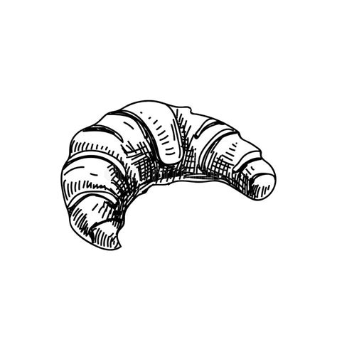 Ilustración Croissant De Vector Blanco Y Negro Dibujado A Mano