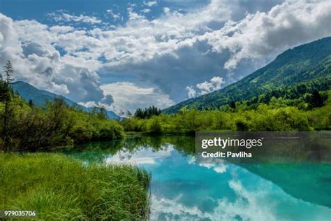 266 Zelenci Stock Photos, High-Res Pictures, and Images - Getty Images