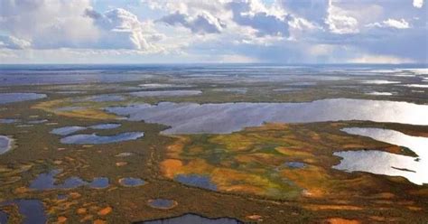 Despite Significant Losses In Many Regions Global Wetlands Losses Are