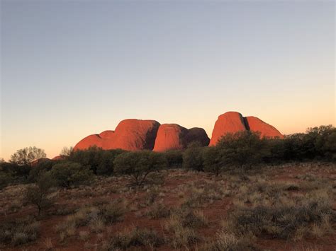 When Did Aboriginal People First Arrive In Australia