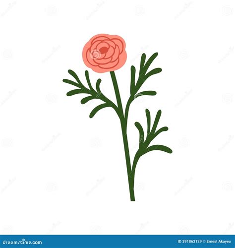 ranunculus flower season 8