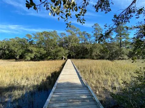 Best Hikes And Trails In Edisto Beach State Park Alltrails