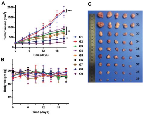 In Vivo Antitumor Efficacy In HCT116tumorbearing BALB C Nude Mice A