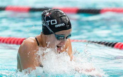 The Best Competitive Swim Team In Palo Alto — Alto Swim Club