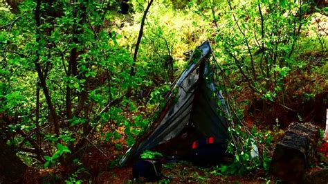 Bushcraft Camp Forest Bushcraft Camping Solo Bushcraft Camping