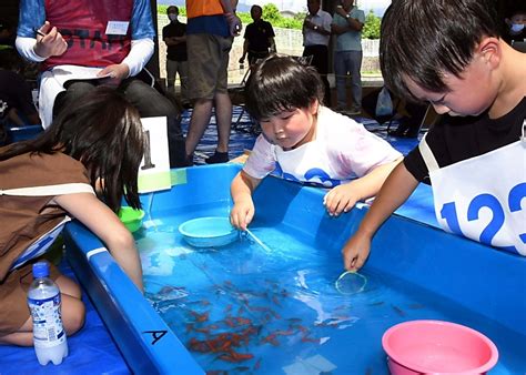 「〇〇っポイもの」作る工作選手権 中川村で13日に金魚すくい大会｜信濃毎日新聞デジタル 信州・長野県のニュースサイト