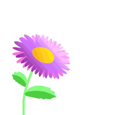 Animated Flowers: Beautiful and Colorful GIFs