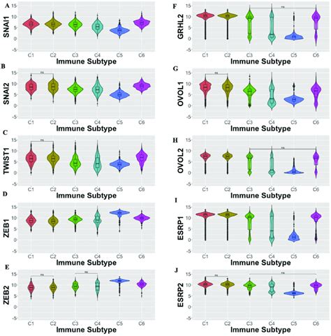 EMT and MET factor gene expression varies across immune subtypes. (A-E ...