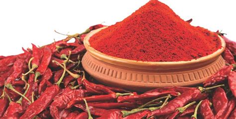 Red Chilli Powder Packaging Packet 50g At Best Price In Unjha ID