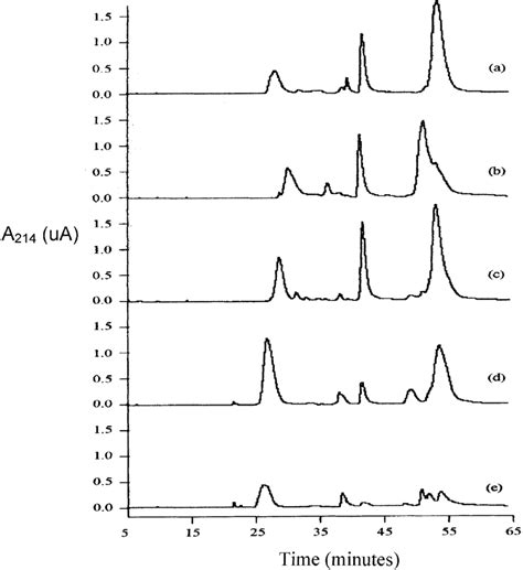 Reversed Phase High Performance Liquid Chromatography Of Egg White Download Scientific Diagram