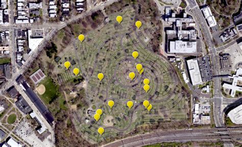 Spotlight On Ginkgo Pretty Edible And Historic Philadelphia Orchard Project