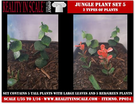 Jungle Plants Set 5 Contains 2 types of plants (1/16 - 1/35) | HLJ.com