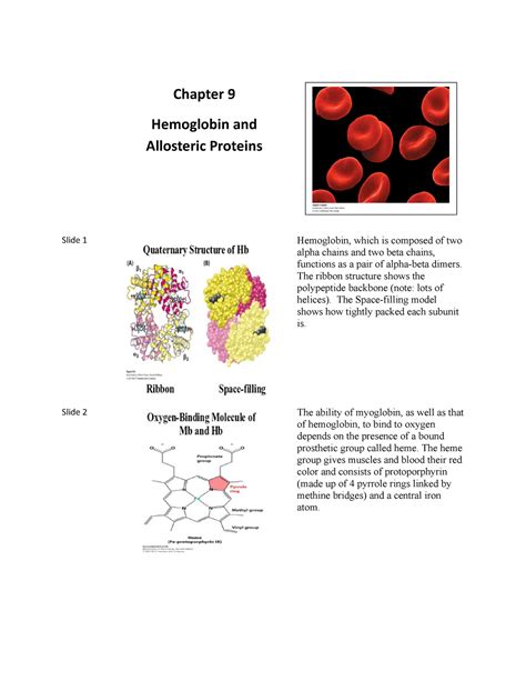 Biochem Chapter Slides Notes Chapter Hemoglobin And Allosteric