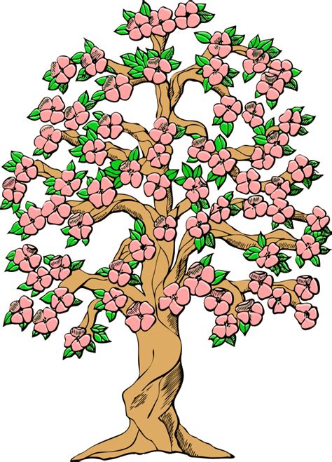 flowering tree color - Openclipart