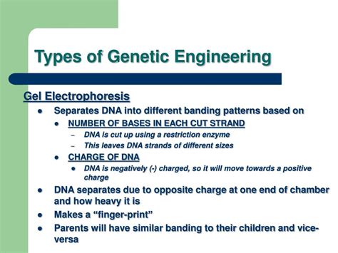 PPT - Genetic Engineering PowerPoint Presentation, free download - ID:4873965