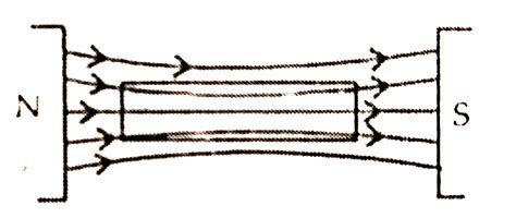 Depict The Behaviour Of Magnetic Field Lines Neari Diamagnetic And