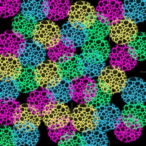 Cell Pattern By Addicusdesigns Redbubble