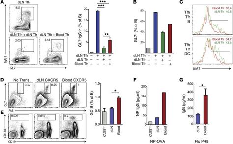 JCI Circulating T Follicular Regulatory And Helper Cells Have Memory