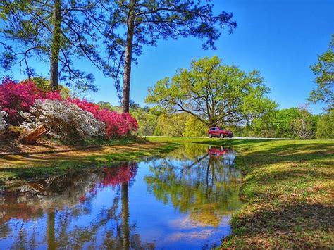 Callaway Gardens Lights | Teachers Discount Club
