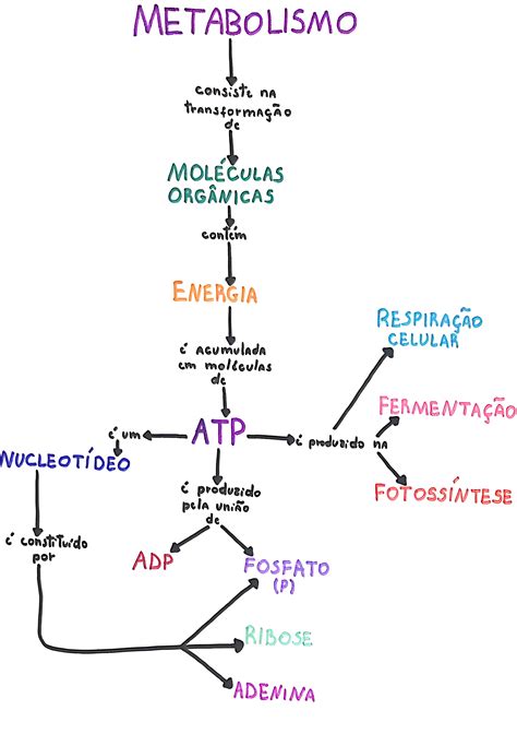 O Que É Metabolismo Energetico - Mapa Mental Sobre Metabolismo Energético - FDPLEARN