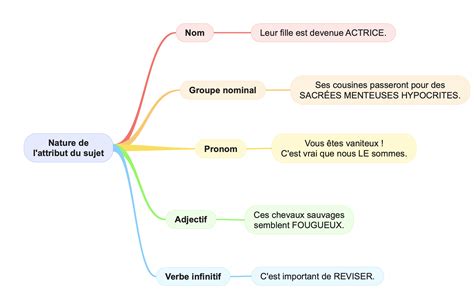 Carte Mentale De La Nature De L Attribut Du Sujet Coll Ge Apprendre