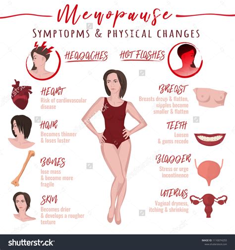 20 Menopause Facts Images, Stock Photos & Vectors | Shutterstock