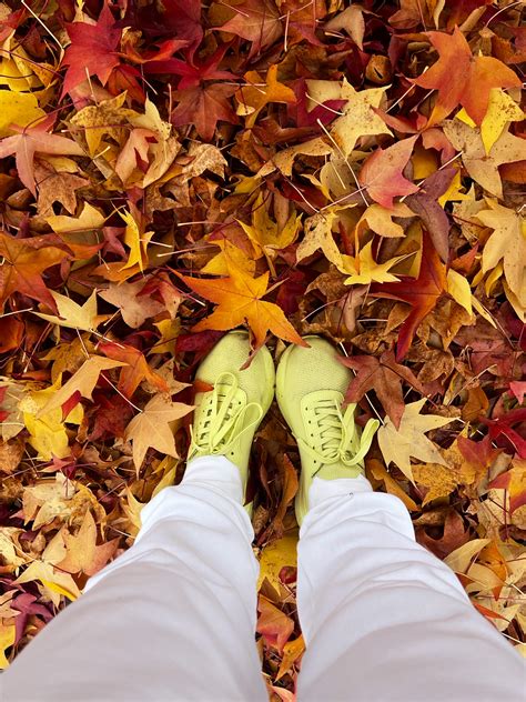 Footsteps Photos, Download The BEST Free Footsteps Stock Photos & HD Images