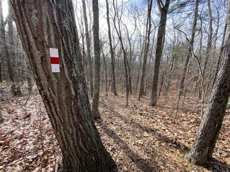 BALDPATE POND STATE PARK - Updated January 2025 - 19 Photos ...