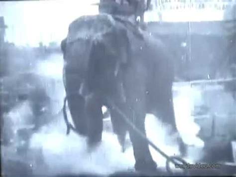 Thomas Edison Electrocuting An Elephant Youtube