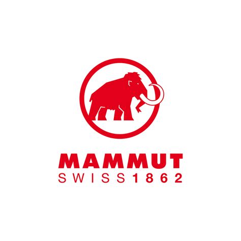 MAMMUT | Cam2