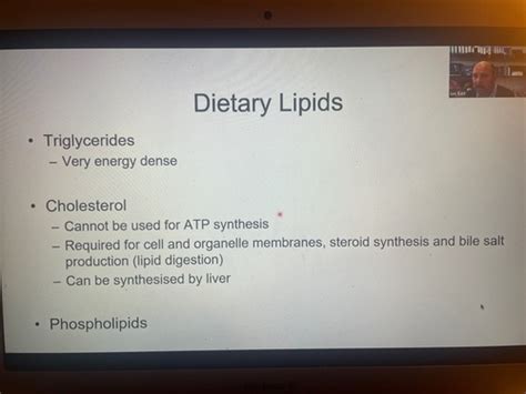 Lipid Metabolism Flashcards Quizlet