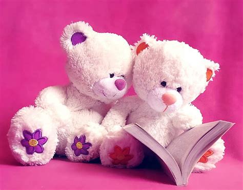 HD wallpaper: bear, cute, doll, pink, teddy bear | Wallpaper Flare