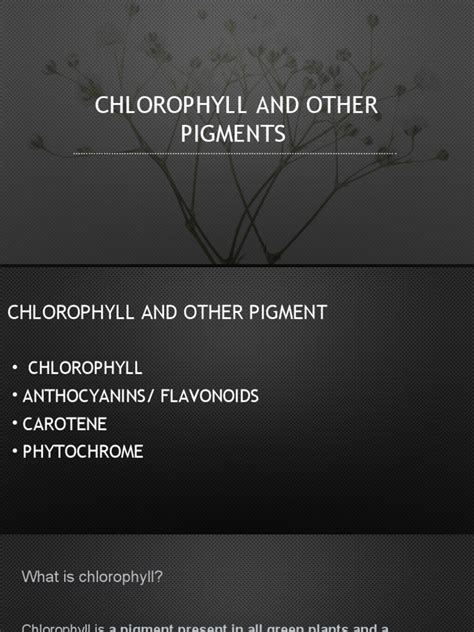 Chlorophyll and Other Pigments | PDF