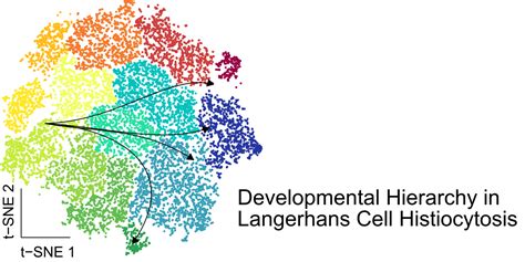 GitHub - cancerbits/lch_hierarchy: Code for Epigenomics and Single-cell ...