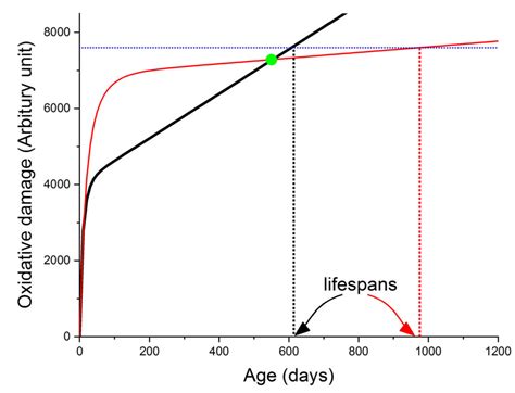 Missouri S T News And Events Scientists Explain Why Naked Mole Rats Longevity Contradicts