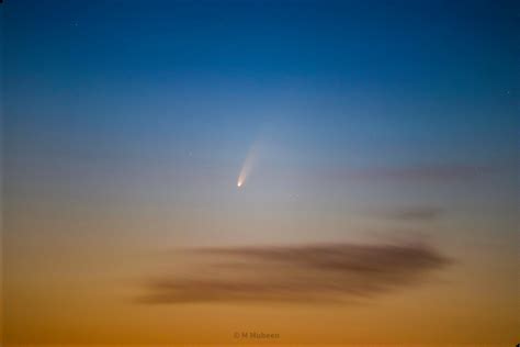 NEOWISE The Universes Naked Eye Spectacle Daily Times
