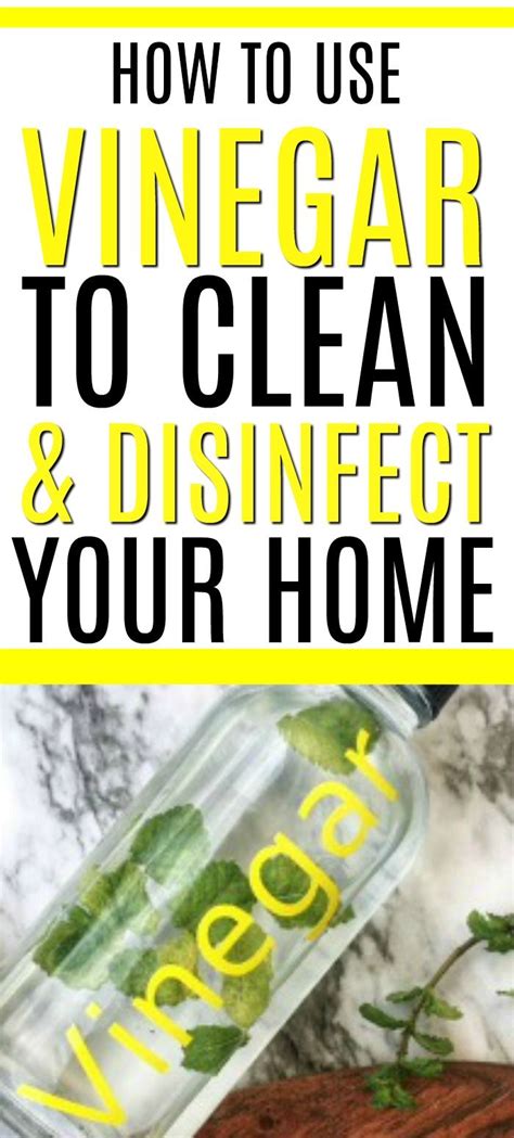 The Ultimate List Of Vinegar Cleaning Hacks Artofit