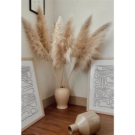 KIT 10 HASTES PLUMAS CAPIM DOS PAMPAS DECORAÇÃO CASAMENTO CASA Shopee